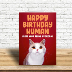 Feline overlords Greeting Card