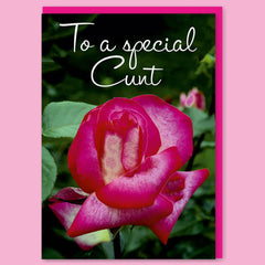 To a Special C**t Greeting Card