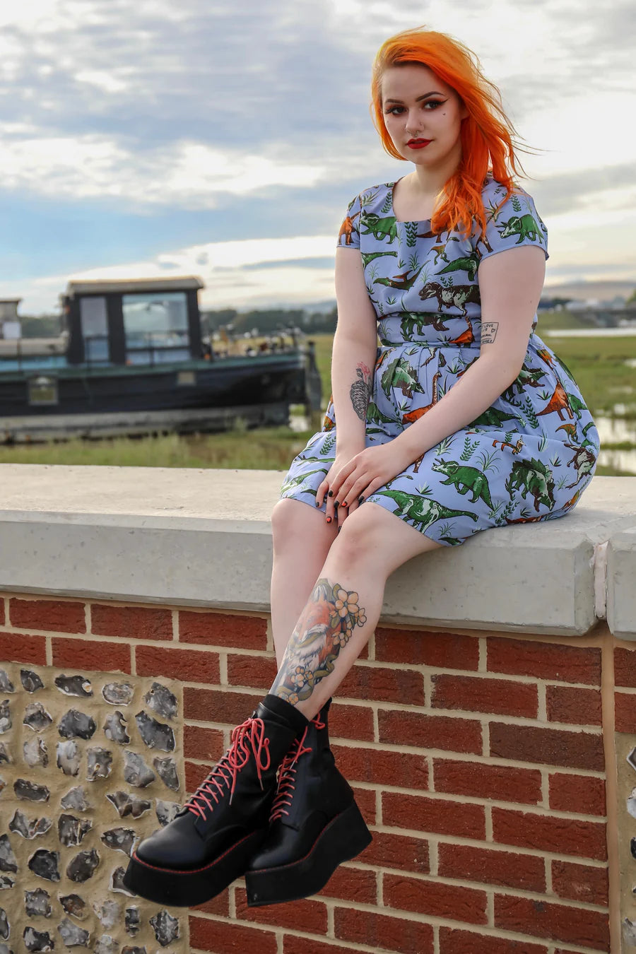Jurassic Adventure Dinosaur Tea Party Dress - Run & Fly