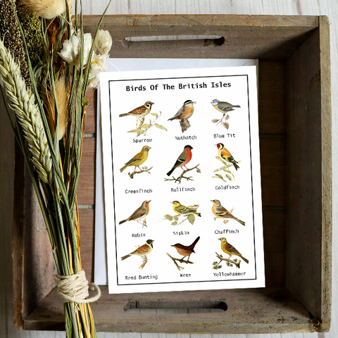 Wildflowers For Birds Seed Card - Seeds with Love