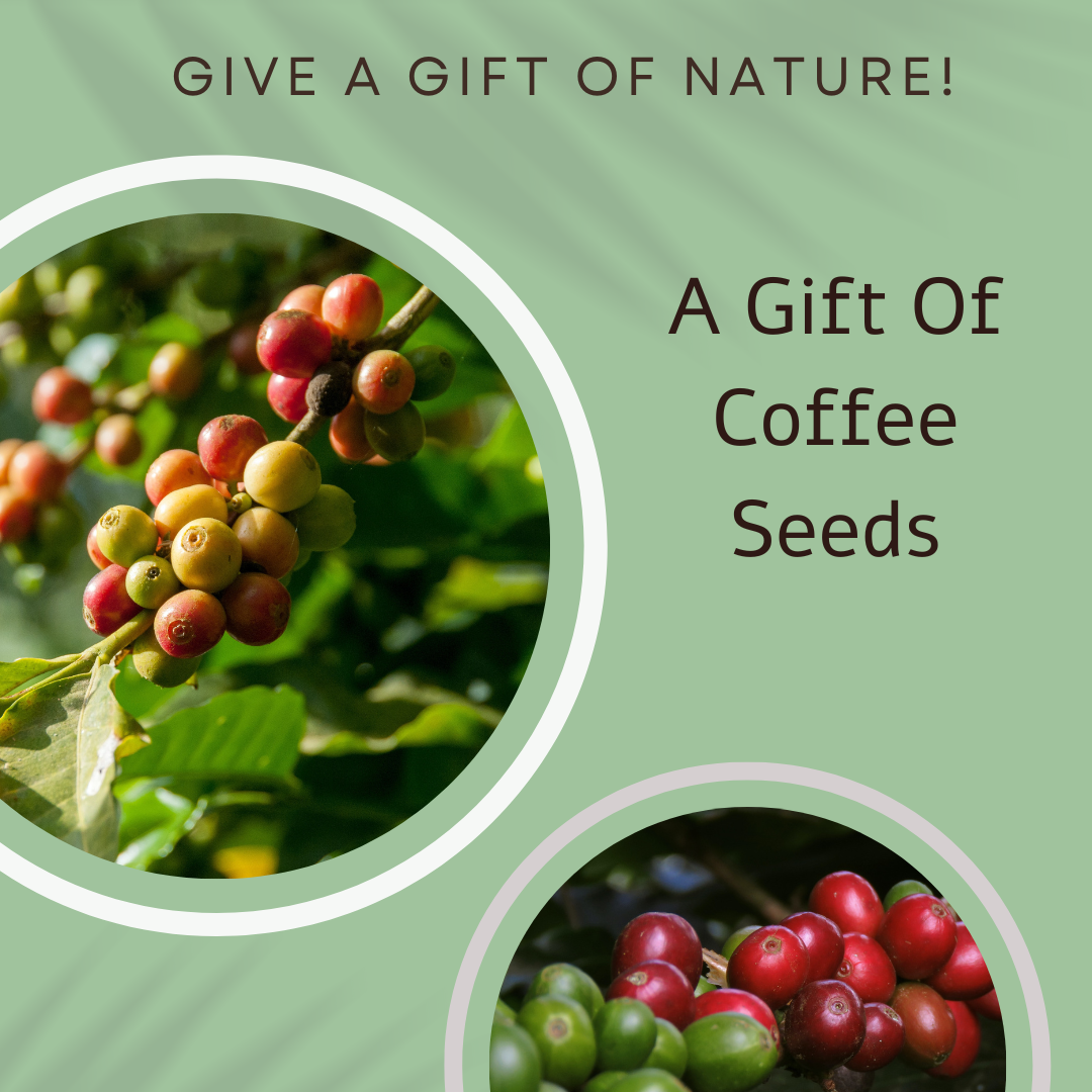 Herby Hedgehog Grow Your Own Coffee Card - Seeds with Love