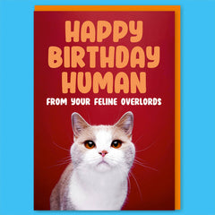 Feline overlords Greeting Card