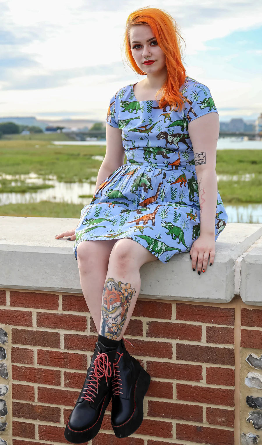 Jurassic Adventure Dinosaur Tea Party Dress - Run & Fly