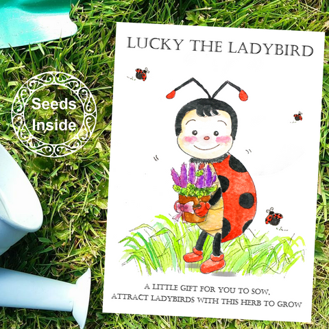 Lucky The Ladybird Seed Card - Seeds with Love