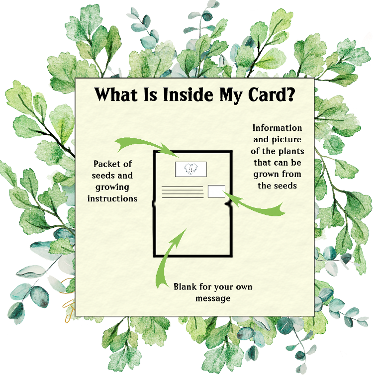 Herby Hedgehog Grow Your Own Coffee Card - Seeds with Love