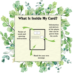 Herby Hedgehog Grow Your Own Coffee Card - Seeds with Love