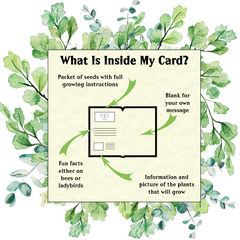 Lucky The Ladybird Seed Card - Seeds with Love