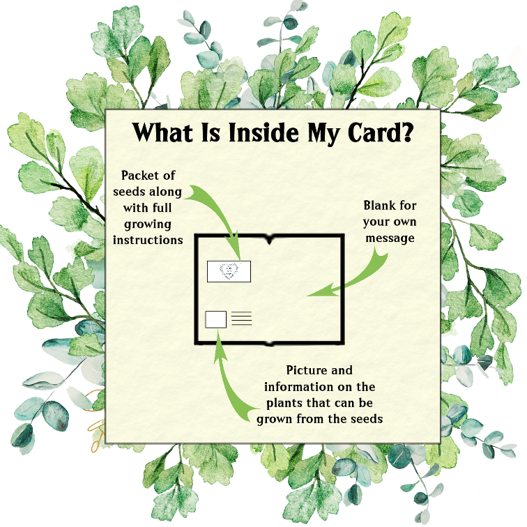 Naughty Nature Seed Card - Seeds with Love