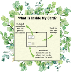 Naughty Nature Seed Card - Seeds with Love