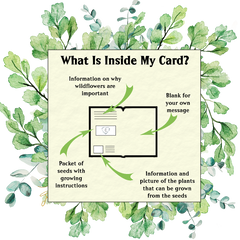Wildflowers For Butterflies Seed Card - Seeds with Love