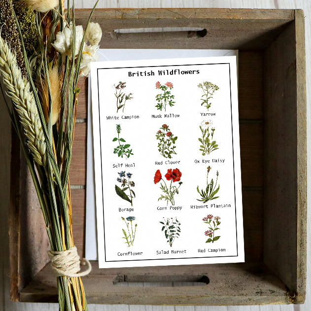 Wildflowers Seed Card - Seeds with Love