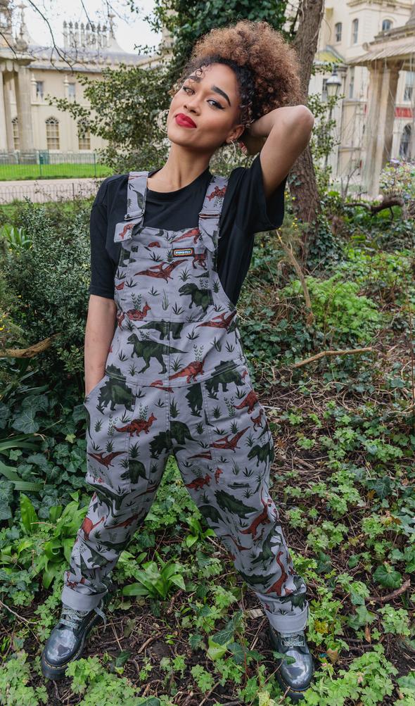 Adventure Dinosaur Grey Dungarees - Run & Fly