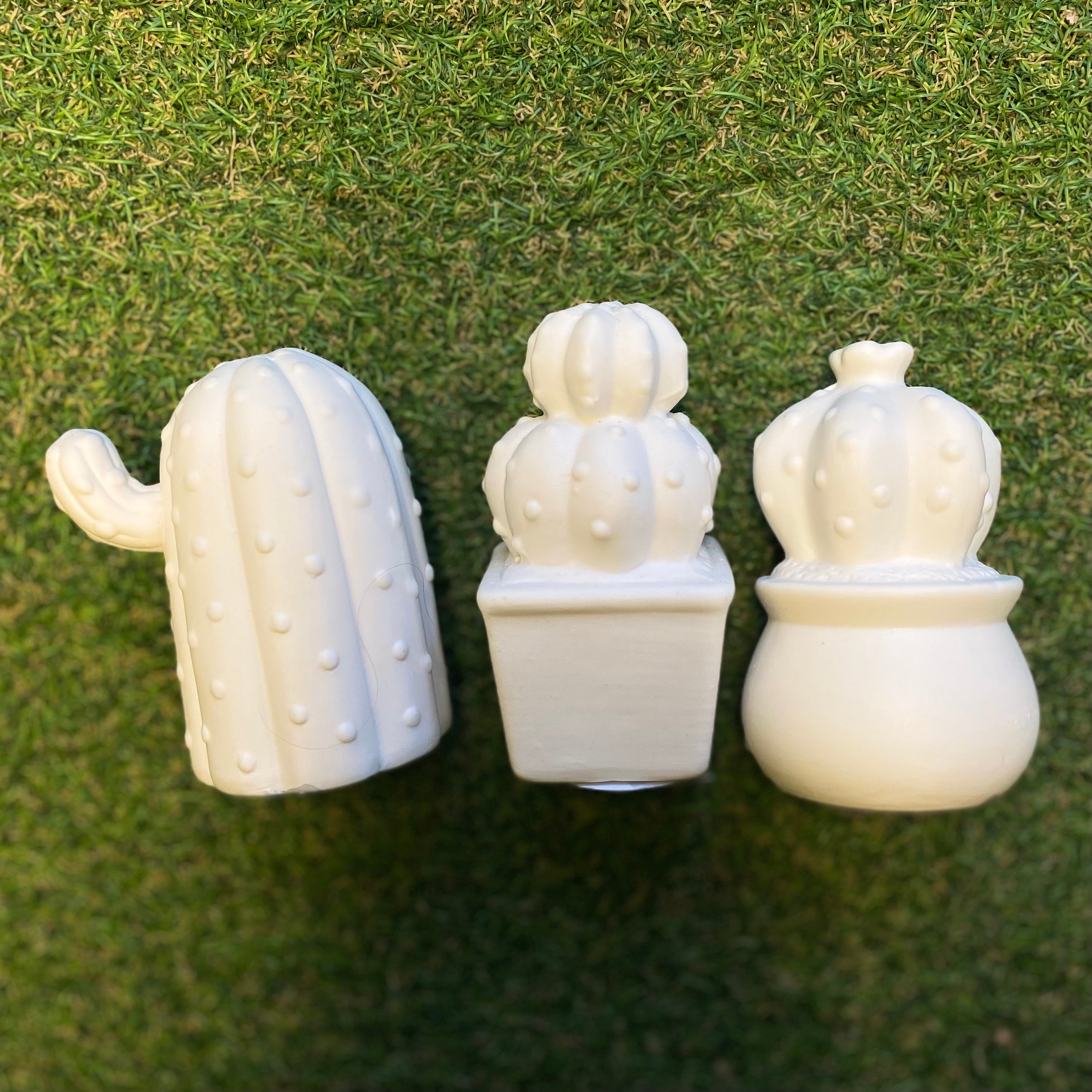LED Ceramic Cactus x 3 Set