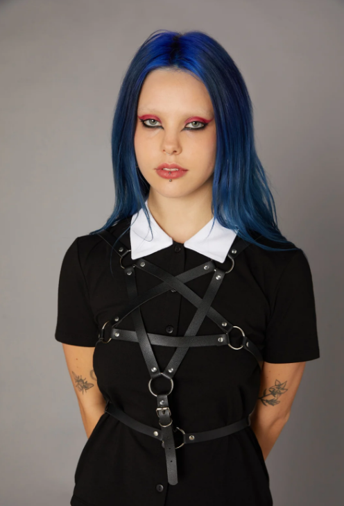 Belts & Harnesses