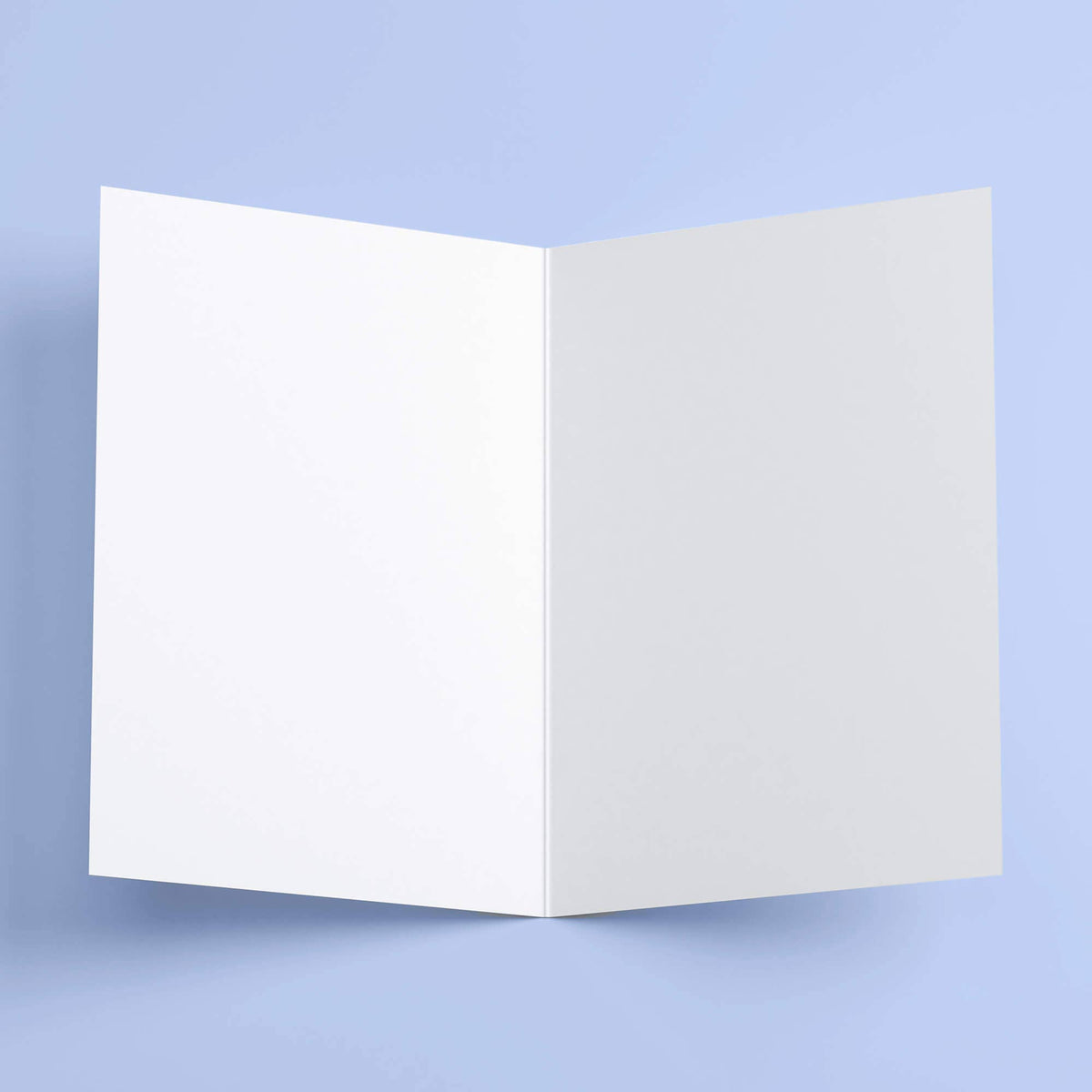 Happy Birthday from the gays Greeting Card