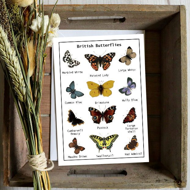 Wildflowers For Butterflies Seed Card - Seeds with Love