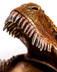 T-Rex Head Storage Dish