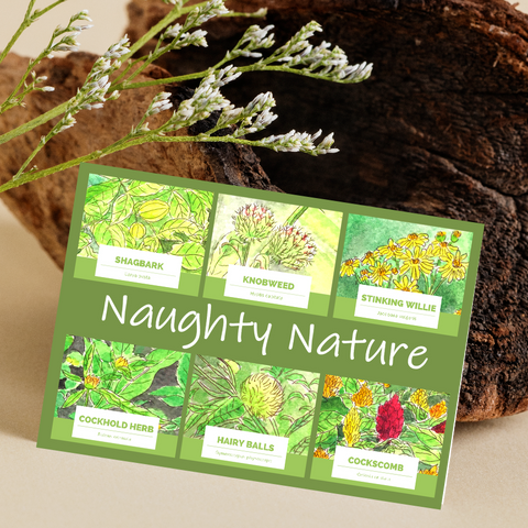 Naughty Nature Seed Card - Seeds with Love