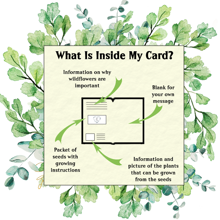 Wildflowers For Butterflies Seed Card - Seeds with Love