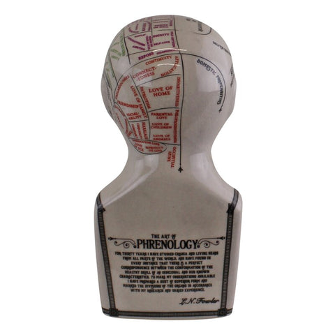 Phrenology Head 15cm