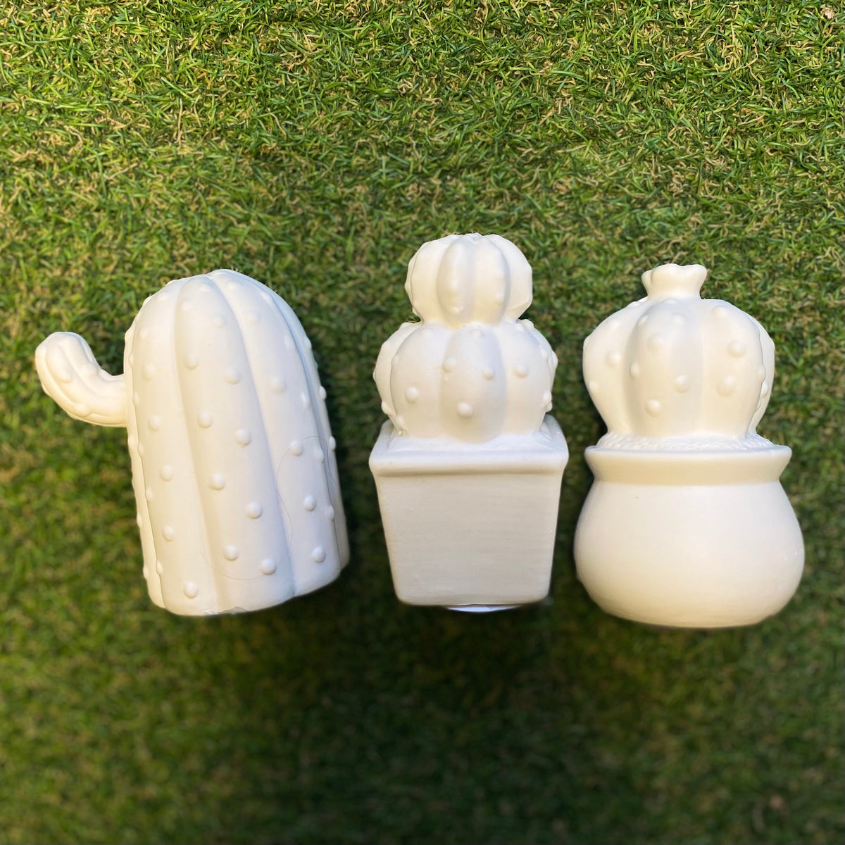 LED Ceramic Cactus x 3 Set